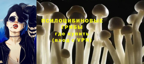 шишки Алексеевка