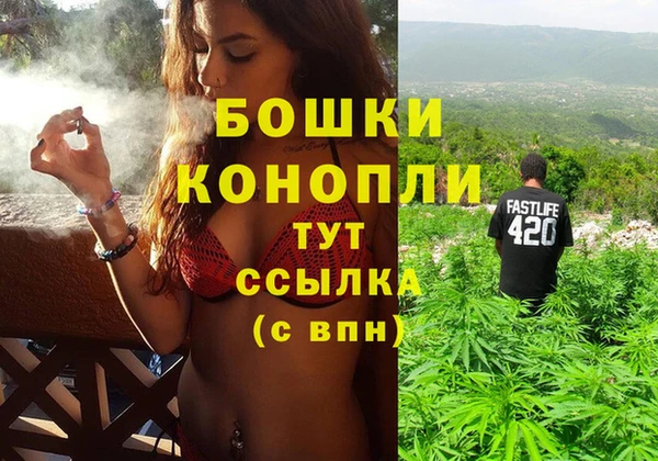 шишки Алексеевка