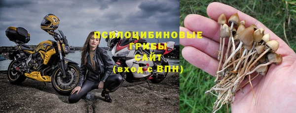 дживик Алексин