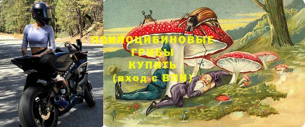 шишки Алексеевка